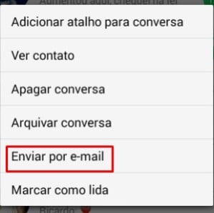 1 - Clique e segure sobre a conversa que deseja guardar. Nas opções que aparecerem, toque em Enviar por e-mail.