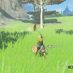 https://wp.33giga.com.br/wp-content/uploads/2019/10/The-Legend-of-Zelda-Tears-of-the-Kingdom-2023-310x310.jpg