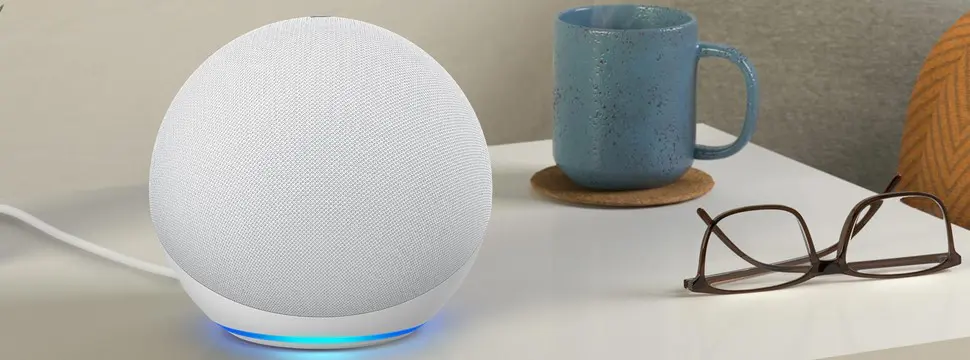 Aprenda a excluir skills sincronizadas com a Alexa