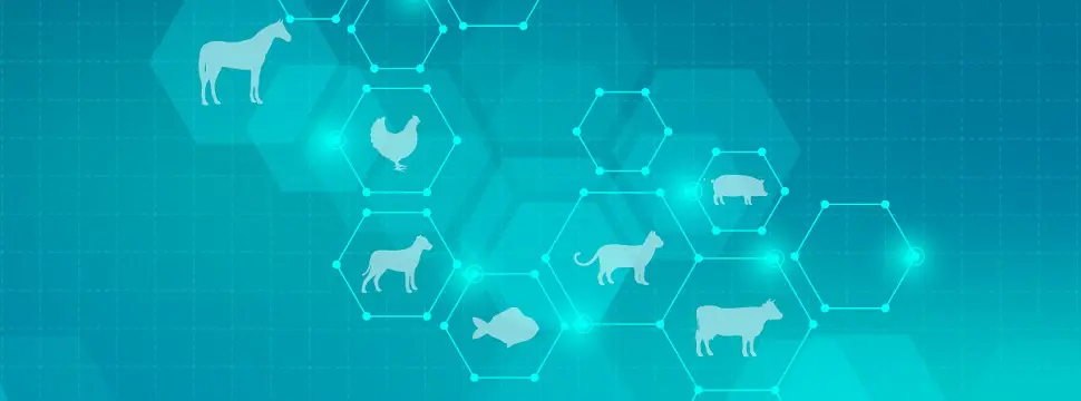 Empresa de saúde animal lança hackathon com prêmios de até R$ 25 mil