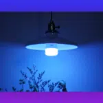 Testamos: lâmpada inteligente Yeelight Bulb 1S Color é bonitinha e competente