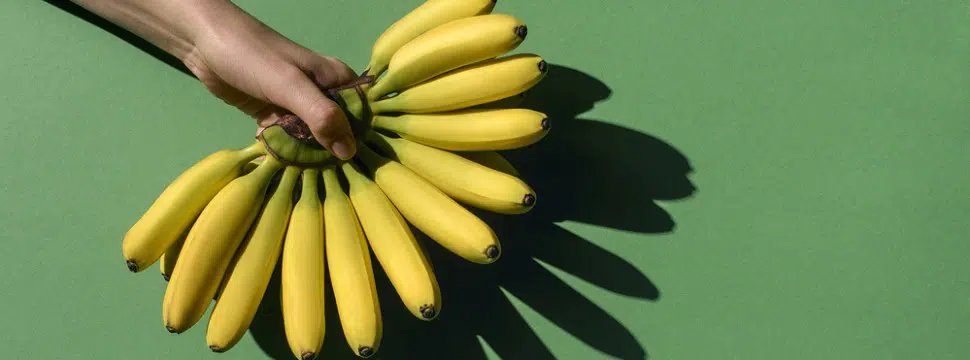 Pequena fazenda de bananas usa Internet das Coisas para monitorar negócio