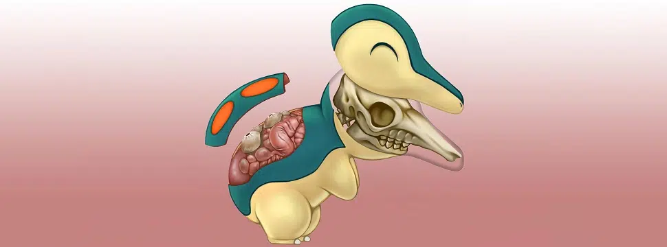 PokéNatomy: artista cria ilustrações realistas da anatomia dos Pokémon