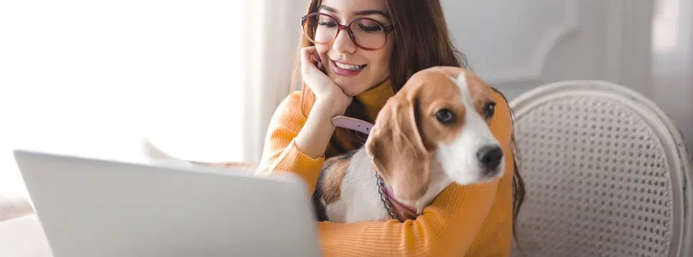 Telemedicina veterinária: o que é e como funciona?