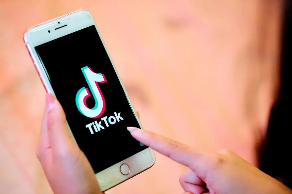 Os seus vídeos favoritos do TikTok no seu PC em poucos cliques