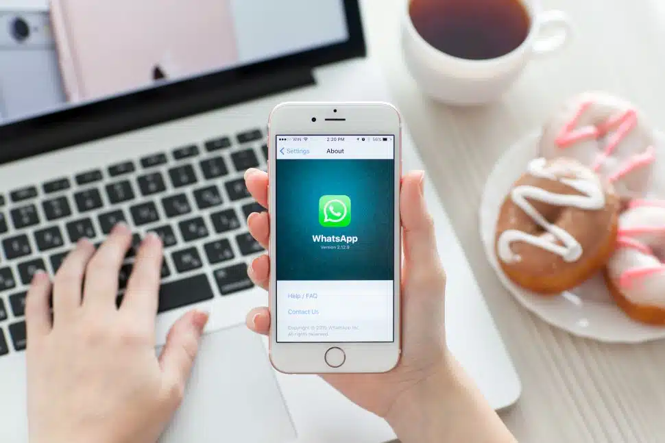 Whatsapp: veja o passo a passo para realizar compras no app