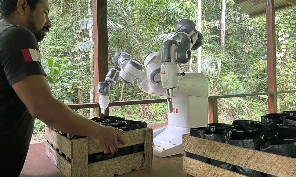 YuMi na Amazônia: robô automatiza projeto de reflorestamento