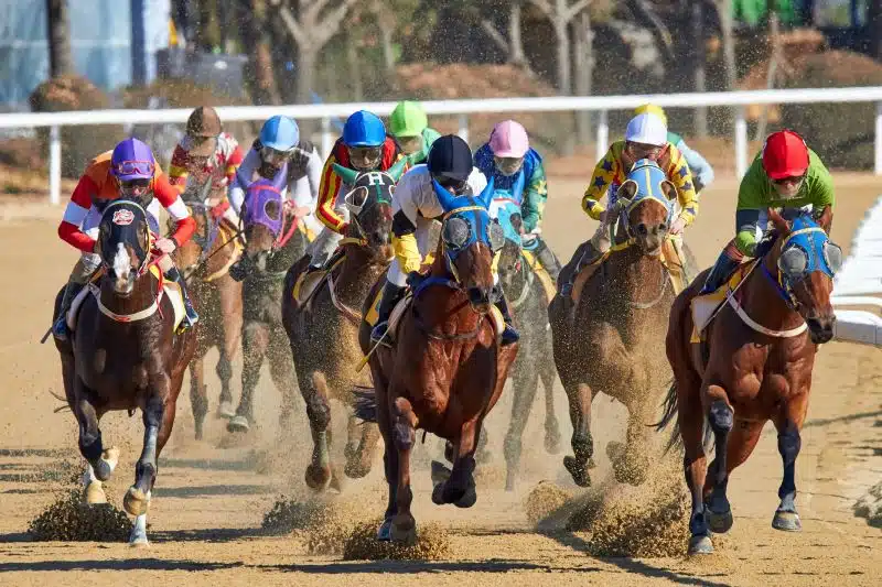 Explorando a Emoção das Apostas em Corridas de Cavalos no Brasil