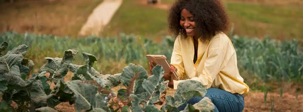 Campo modernizado: saiba tudo sobre conectividade nas áreas rurais do Brasil