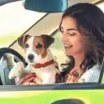 Uber Pet: veja como usar modalidade para cães e gatos acompanhados de tutores