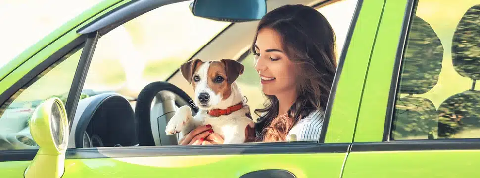 Uber Pet: veja como usar modalidade para cães e gatos acompanhados de tutores