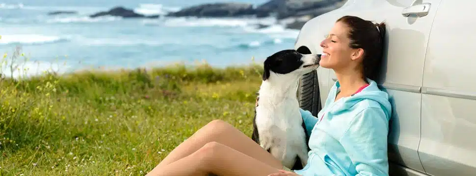 Confira dicas para viajar com seu pet no verão