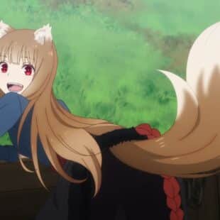 https://wp.33giga.com.br/wp-content/uploads/2024/04/16.-Holo-Spice-Wolf-310x310.jpeg