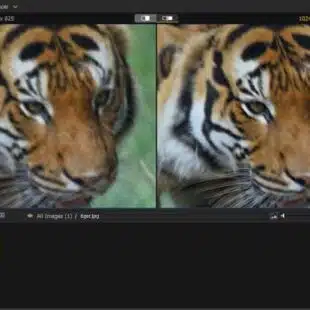 Aiarty Image Enhancer usa IA para melhorar qualidade de imagens