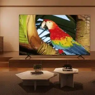 TCL anuncia chegada da QLED TV C655 ao mercado brasileiro