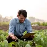 Mercosul Negócios lança ebook gratuito sobre tecnologia no agronegócio