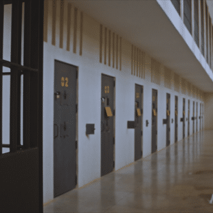 https://wp.33giga.com.br/wp-content/uploads/2024/09/GRI_MONTAGEM_TRIPONA_MASTER_2_0420_CUT08.Copy_.01.Sub_.75-640x480-1-310x310.png