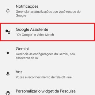 https://wp.33giga.com.br/wp-content/uploads/2024/11/desativar-o-Google-Assistente-3-310x310.jpg