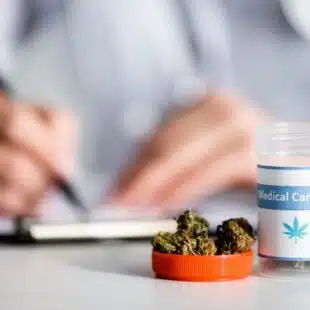 Conheça cinco mitos sobre a cannabis medicinal