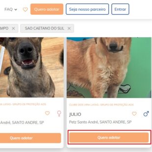 https://wp.33giga.com.br/wp-content/uploads/2025/02/Screenshot_3-3-310x310.jpg