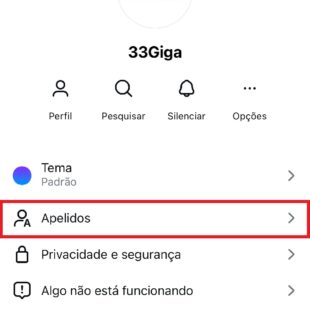 https://wp.33giga.com.br/wp-content/uploads/2025/02/apelidos-aos-contatos-do-Instagram-4-310x310.jpg