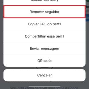 https://wp.33giga.com.br/wp-content/uploads/2025/02/remover-seguidores-do-Instagram-3-310x310.jpg