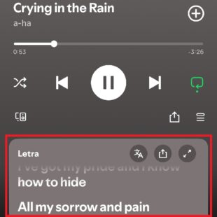 https://wp.33giga.com.br/wp-content/uploads/2025/02/traducao-de-letra-no-Spotify-1-310x310.jpg
