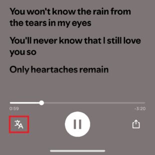 https://wp.33giga.com.br/wp-content/uploads/2025/02/traducao-de-letra-no-Spotify-2-310x310.jpg