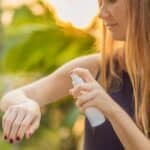 Mosquitos: como escolher o repelente ideal e minimizar exposição