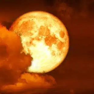 Primeiro eclipse lunar de 2025 ocorre nesta madrugada