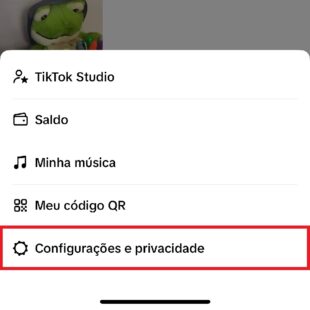 https://wp.33giga.com.br/wp-content/uploads/2025/03/videos-offline-no-TikTok-3-310x310.jpg
