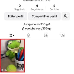 https://wp.33giga.com.br/wp-content/uploads/2025/04/excluir-video-do-TikTok-2-310x310.jpg