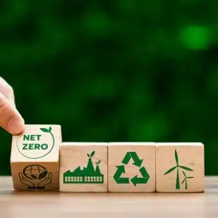 Net Zero: entenda conceito e desafios da descarbonização global