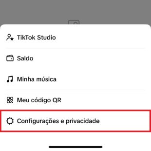 https://wp.33giga.com.br/wp-content/uploads/2025/04/recuperar-video-apagado-do-TikTok-3-310x310.jpg