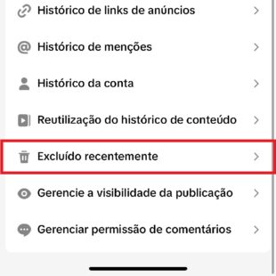 https://wp.33giga.com.br/wp-content/uploads/2025/04/recuperar-video-apagado-do-TikTok-5-310x310.jpg