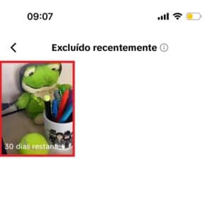 https://wp.33giga.com.br/wp-content/uploads/2025/04/recuperar-video-apagado-do-TikTok-6-310x310.jpg