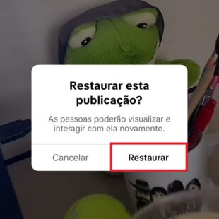 https://wp.33giga.com.br/wp-content/uploads/2025/04/recuperar-video-apagado-do-TikTok-8-310x310.jpg