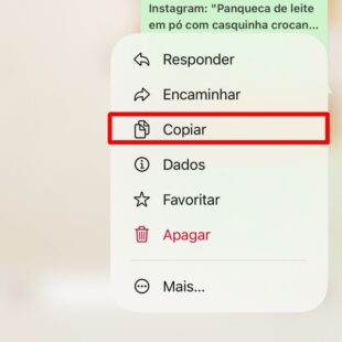https://wp.33giga.com.br/wp-content/uploads/2026/09/IMG_8966-310x310.jpg